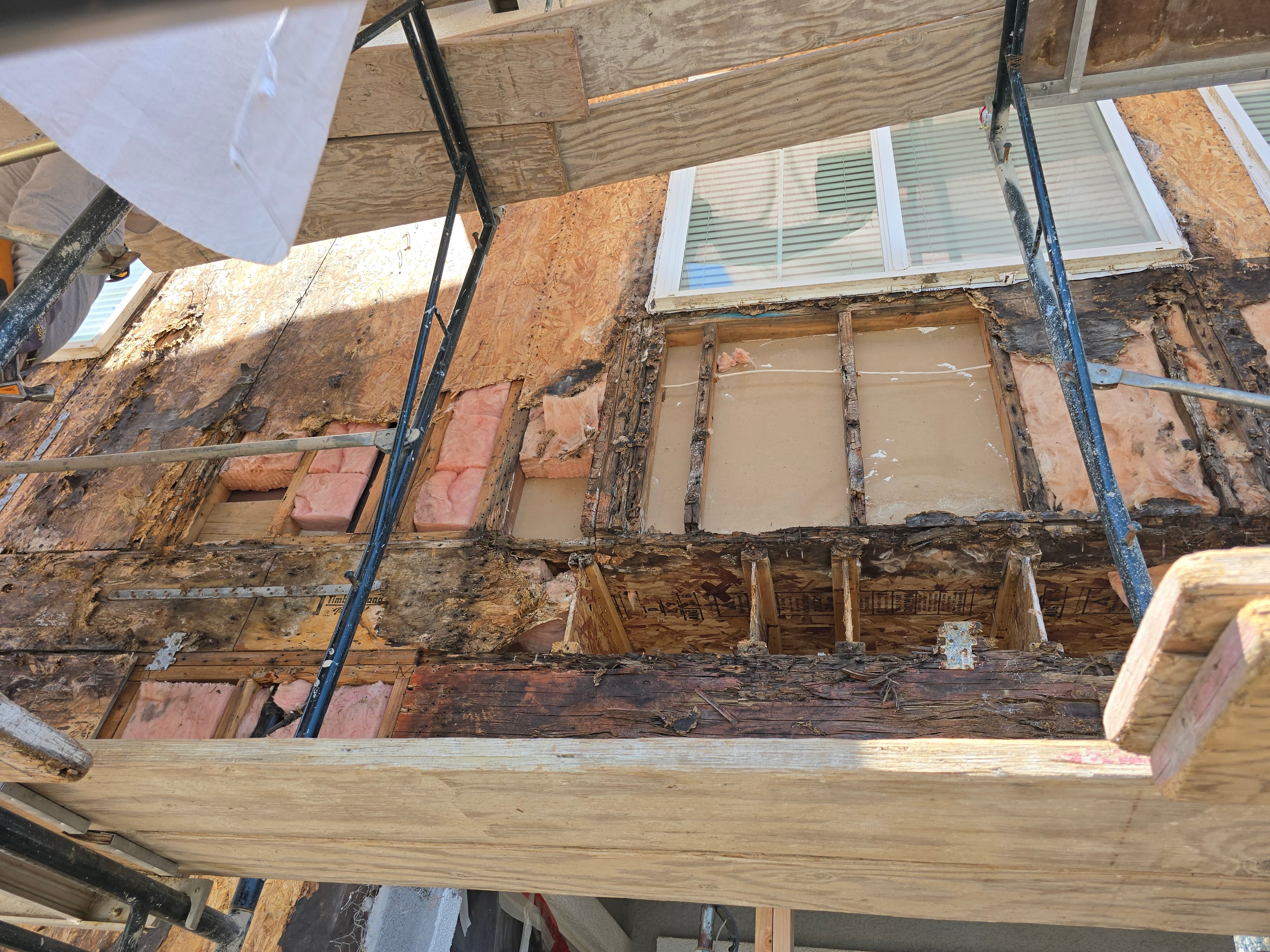 Extensive decayed wood and compromised sheathing are visible on the exposed exterior wall of a house under renovation, with scaffolding present.